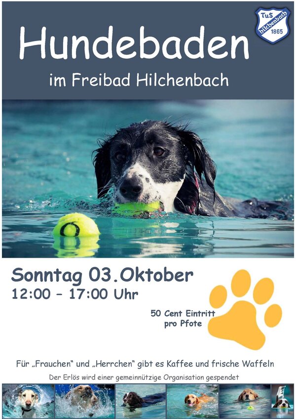 Plakat Hundebaden im Freibad 