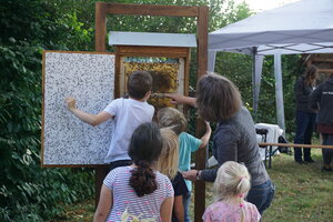 Bild vergr&ouml;&szlig;ern: Der neue Bienen-Schaukasten