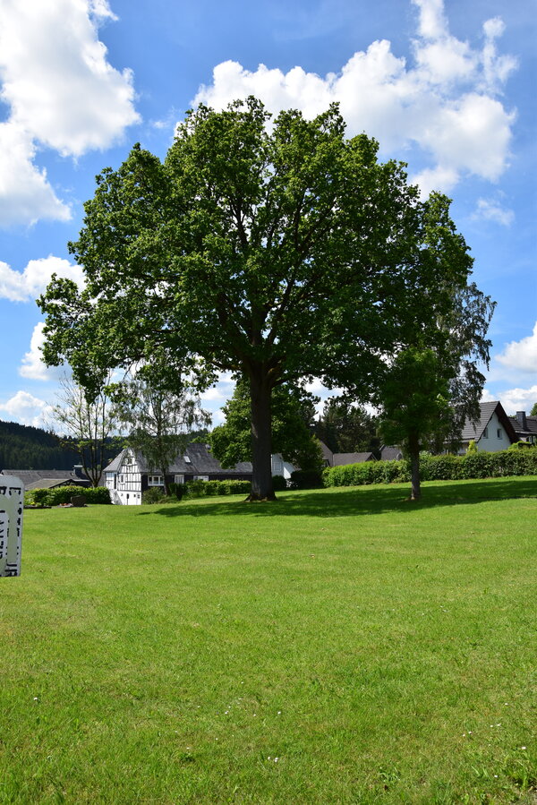 Geschütztes Naturdenkmal 