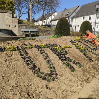 Bild vergr��ern: Martin Roth, G�rtner mit Schwerpunkt Zierpflanzenbau, sorgt beim st�dtischen Baubetriebshof daf�r, dass jede Blume am richtigen Platz sitzt.