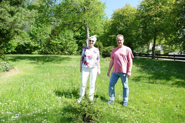 Baumspende Libanon- Zeder