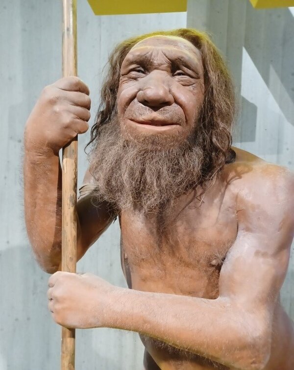 Rekonstruktion eines Neanderthalers