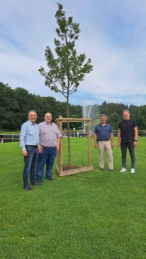Foto (von links): B&uuml;rgermeister Kyrillos Kaioglidis, Michael St&ouml;tzel, Ulrich Bensberg und Wieland Abele freuen sich &uuml;ber einen der neuen B&auml;ume, die in Zukunft im gr&ouml;&szlig;-ten Naturfreibad S&uuml;dwestfalens in M&uuml;sen Schatten spenden sollen.