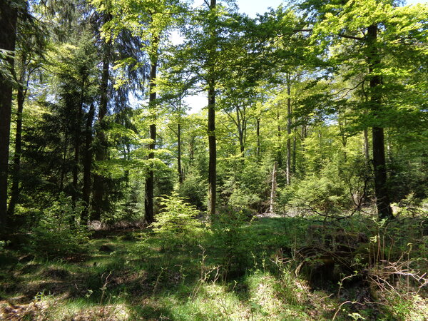 Bild vergr&ouml;&szlig;ern: Naturparkführung auf der Oberndorfer Höhe