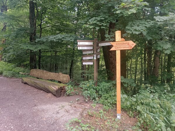 Wegweiser Rothaarsteig