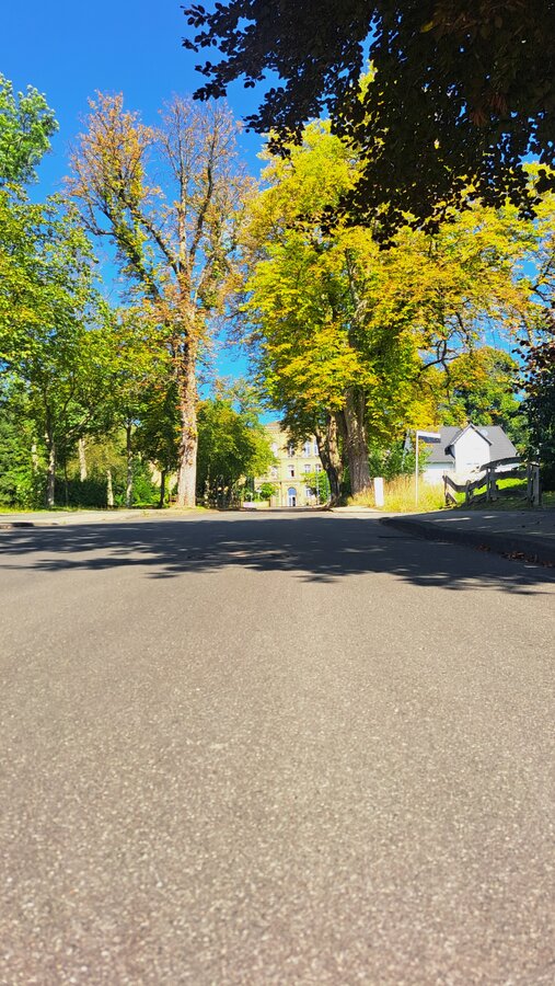 Weniger als eine Woche hat es gedauert, bis die Oberfl&auml;che der Jung-Stilling-Allee saniert war. 