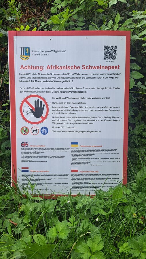 Hinweisschilder informieren an Wanderparkpl&auml;tzen im Hilchenbacher Stadtgebiet zur afrikanischen Schweinepest.