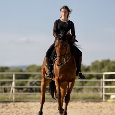 Bild vergr&ouml;&szlig;ern: Nele Friz hoch zu Pferd