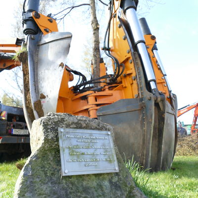 Bild vergr&ouml;&szlig;ern: Baumumzug Vormwald