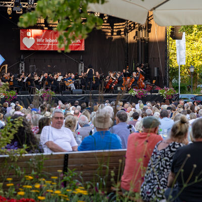 Bild vergr&ouml;&szlig;ern: Musikfest