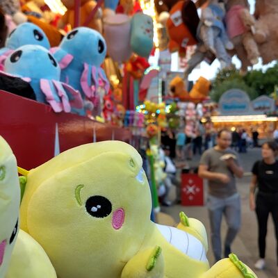 Bild vergr&ouml;&szlig;ern: Kirmes