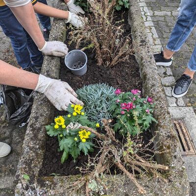 Bild vergr&ouml;&szlig;ern: Donnerstags im Rondell