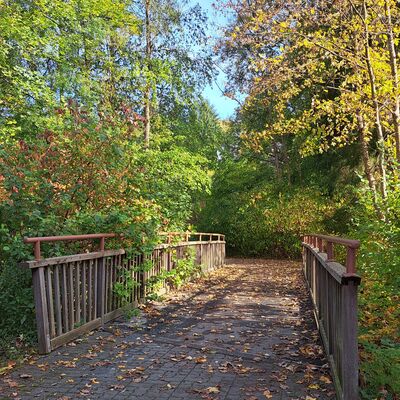 Bild vergr&ouml;&szlig;ern: ISEK_Holzbrücke