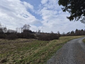 Bild vergr&ouml;&szlig;ern: Ginsberger Heide