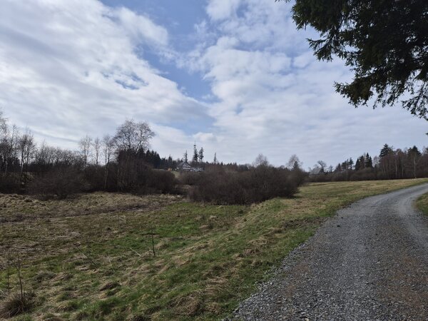 Bild vergr&ouml;&szlig;ern: Ginsberger Heide